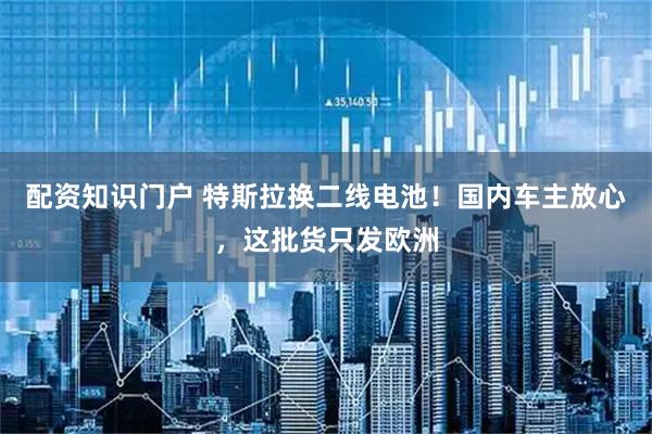 配资知识门户 特斯拉换二线电池!国内车主放心,这批货只发欧洲